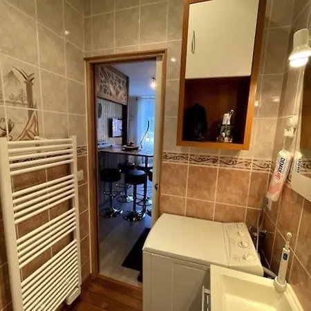 La Feessence Boisee Dore Apartment Le Mont-Dore