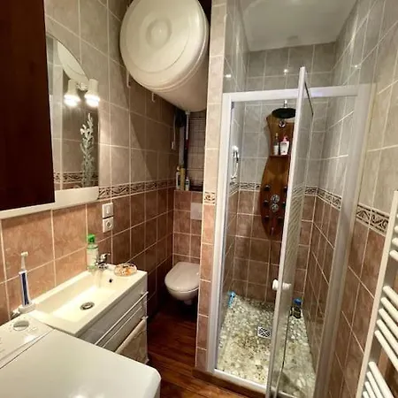 Apartment La Feessence Boisee Dore Le Mont-Dore
